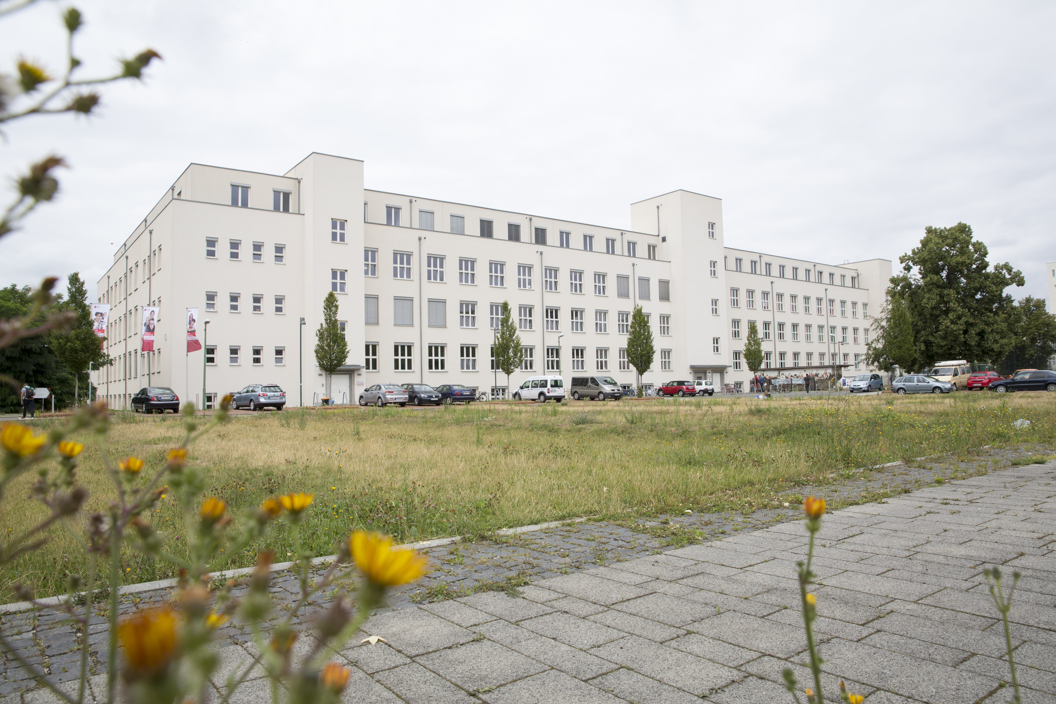 Phorms Campus Berlin Süd, Bilinguale Grundschule